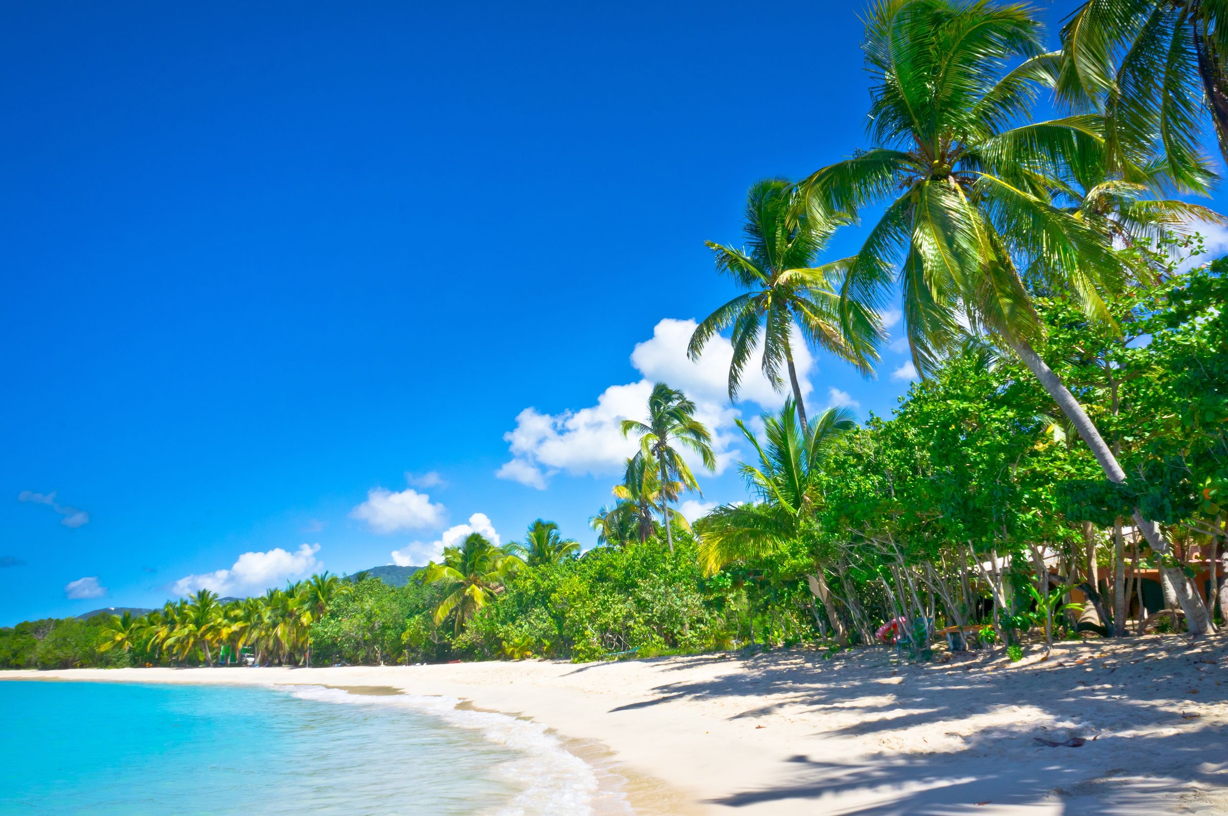 17000937 - beautiful beach in saint lucia, caribbean islands