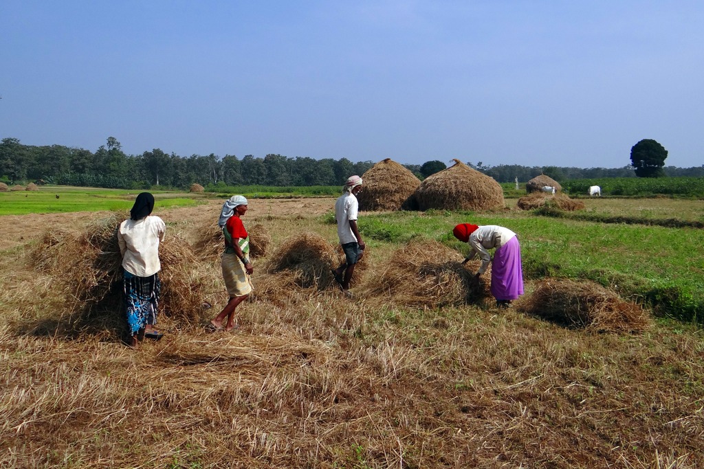 Agriculture Inde