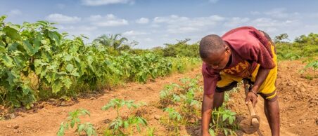 A useful agromet project in Paraguay…