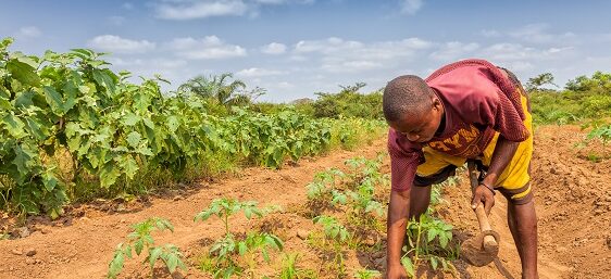 A useful agromet project in Paraguay…